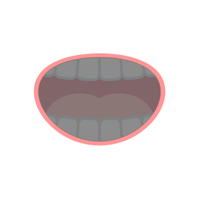 口腔内は暗いため特に根管治療は中まで見えない